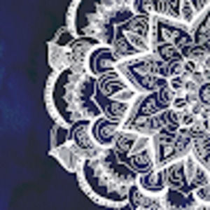 Meet your Posher, Liz